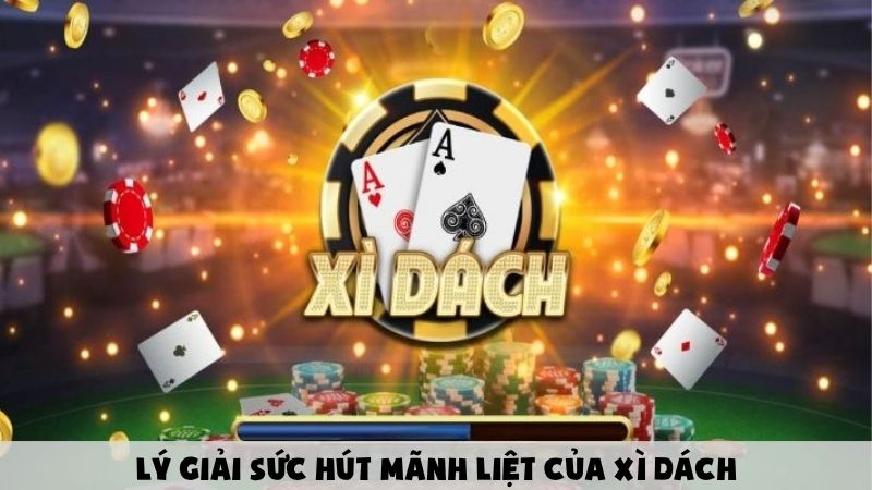 Lý giải sức hút mãnh liệt của Xì Dách