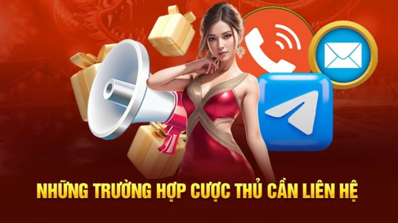 Những trường hợp bạn cần liên hệ Thapdoanhnhanthudo.com