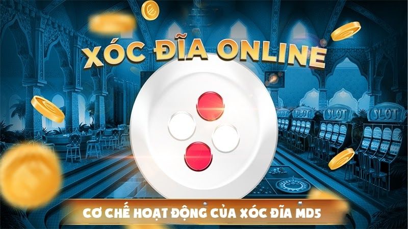 Cơ chế hoạt động Xóc Đĩa MD5