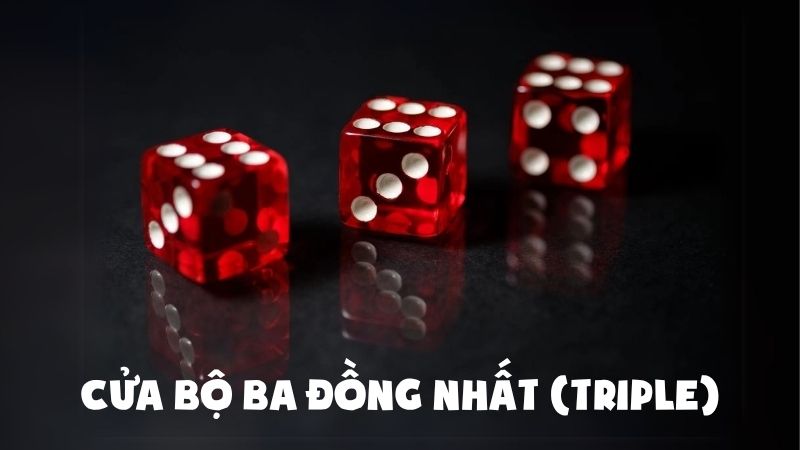 Cửa bộ ba đồng nhất - trường hợp đặc biệt trong Tài xỉu
