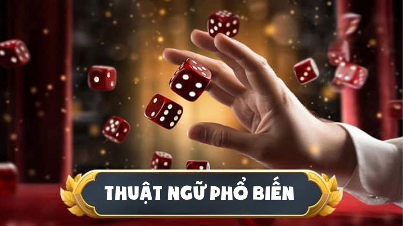Một số thuật ngữ phổ biến cần biết khi soi cầu