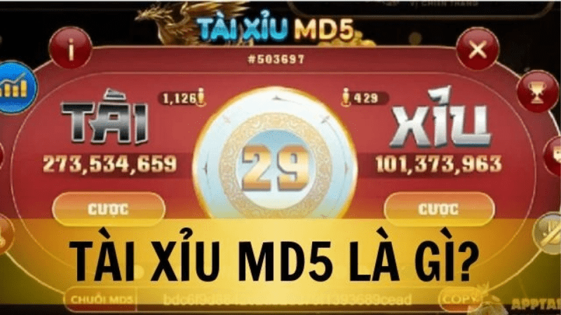 Tài xỉu MD5 là gì?