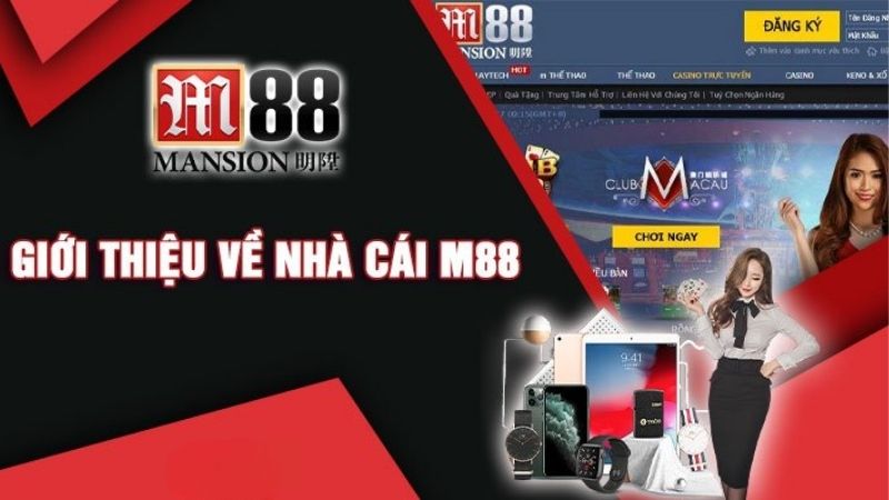 Tìm hiểu M88 nhà cái cá cược uy tín và lâu đời